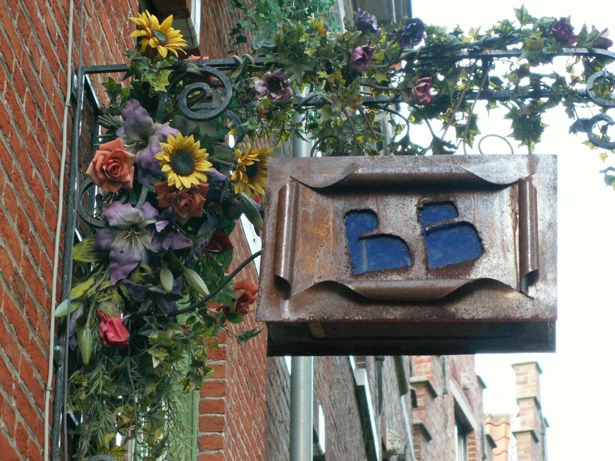 Expect The Unexpected !!! Brugge Eksteriør billede